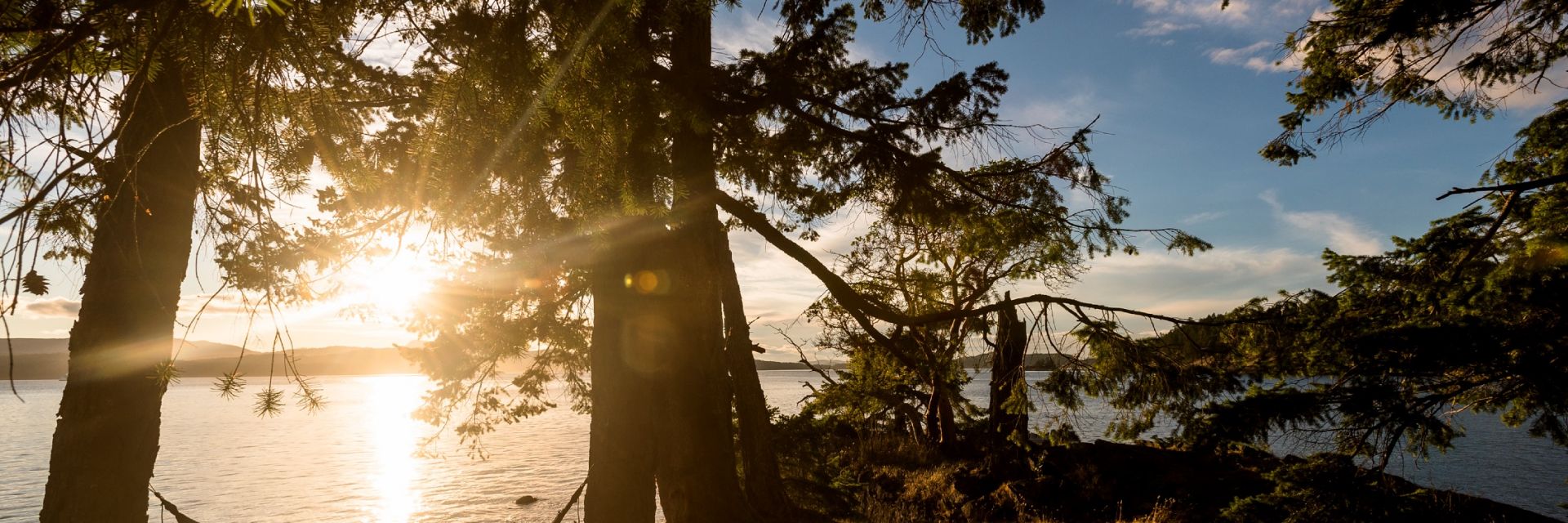 A person relaxing in a hammock amongst the trees watching the sunset on Pender Island