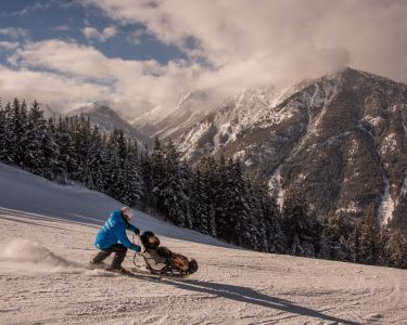 A person pushing another in an accessible skiing wheelchair